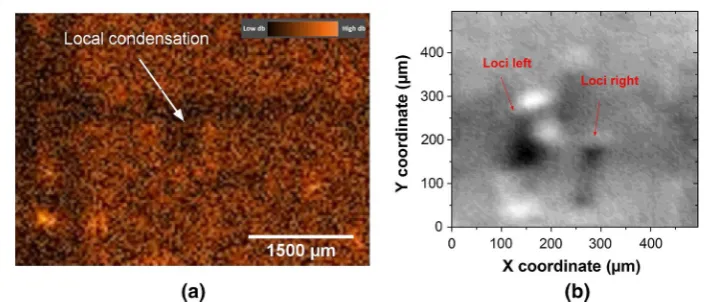 Fig. 5 Recovered image of vessel pattern around the area of interest with a motion step length of 20 ground of matrix material; an estimated OCT image is shown atThe boundary highlights the possible interface from the absorbing vessel channel to the scatte