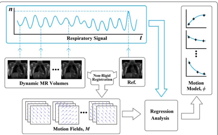 Fig. 1 Forming a motion model from dynamic MR volumes. The MR volumes are registered to a reference volume to generate motion fields