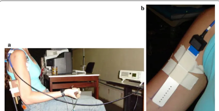 Fig. 3 Experimental setup. joint was flexed at an angle of 90°, and to secure the elbow so that the only possible movement of the arm was isometric elbow flexion