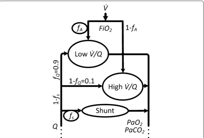 Fig. 1 Schematic representation of the gas exchange model. The model consists of two alveolar compart-