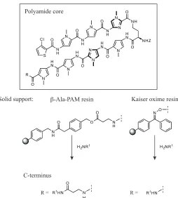 Figure 1.7. Schematic of proposed mechanisms of polyamide gene expression regulation through modulating the DNA-protein interface