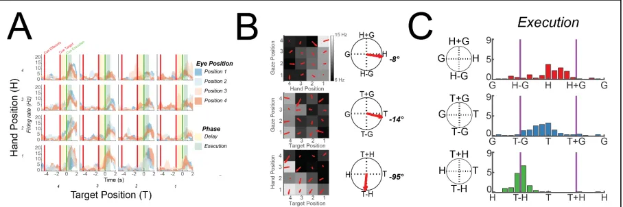 Figure 2.2 Example S1 Unit, Gradient Analysis, and Distribution of Gradients of Tuned Units