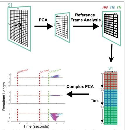 Figure 2.4  Graphical Illustration of Complex PCA Processing. The firing rates for all units, trial averages, and time points were arranged in a matrix (unique trials by unit) and reduced down using principal component analysis (top-left)