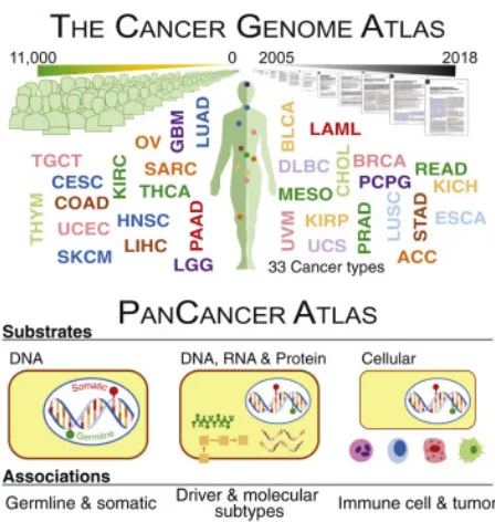 Figure 1.8: The Cancer Genome Atlas (TCGA) contains DNA and RNA informationabout individuals from 33 diﬀerent cancer types