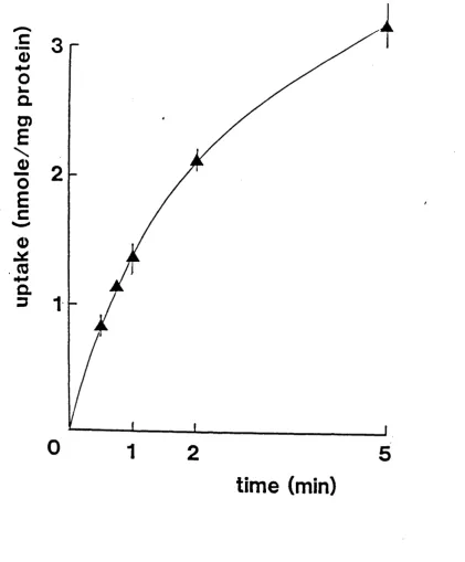 Figure 6.1. Time dependence of iron uptake by adult brush bordermembrane vesicles prepared from adult ileal mucosa.