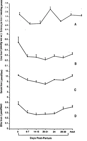 Figure 3.1. Level of iron in enterocyte,liver,senim and bile during ontogeny.