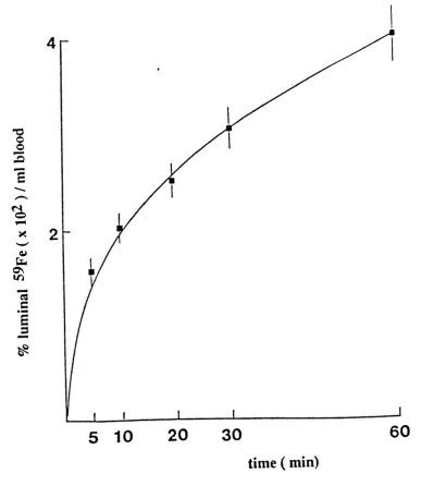 Figure 5.1. Time dependence for the appearance of radiolabelled iron in of duodenum adult peripheral blood following exposure of the mucosa of tied-off loops in vivo to Fe-ascorbate (200 |iM  Fe).