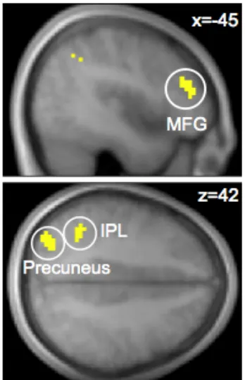 Fig. S3. Additional regions exhibiting a positive correlation with stimulus values in both 