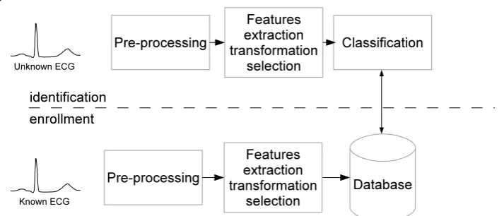 Fig. 3 Typical organisation of an ECG-based identification system.