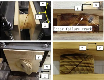 Fig. 7 Shear failure in thetorque test (with Y direction asthe direction of wood ﬁbre inthe middle cross layer)