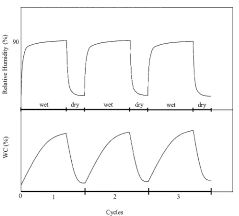 Fig. 1 Schematic diagram of a wet–dry cycle treatment