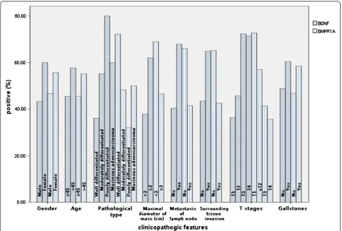 Figure 3 Expression of brain-derived neurotrophic factor (BDNF) and bone morphogenetic protein receptor type IA (BMPR1A) andtheir correlation with the clinicopathologic parameters of gallbladder adenocarcinoma.