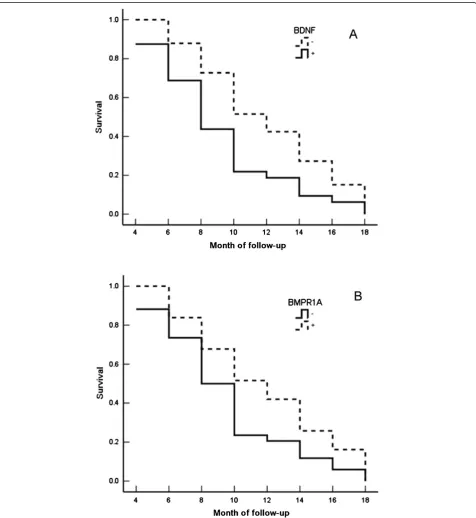 Figure 4 Relationship between brain-derived neurotrophic factor and bone morphogenetic protein receptor type IA expression andsurvival in patients with gallbladder adenocarcinoma