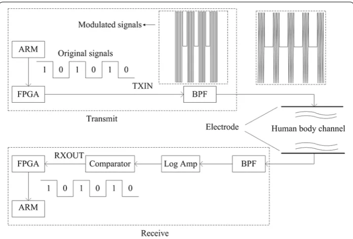Figure 5 Diagram of the HBC transceiver architecture. This figure illustrates how the data transmit from the coordinator (the dashed box named “transmit”) to each sensor (the dashed box named “receive”).