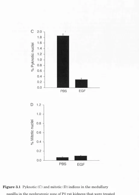 Figure 3.1 Pyknotic (C) and mitotic (D) indices in the medullary 