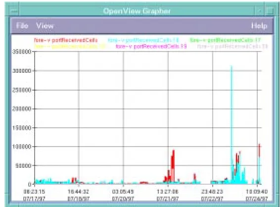 Figure 1.1: SNMP Counter Graph generated with HP OpenView