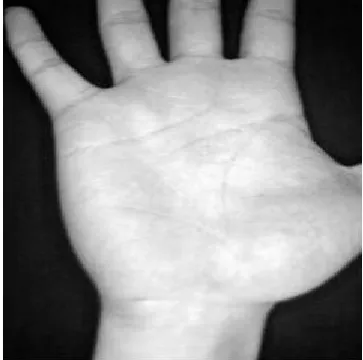 Figure 9 : Test Image  