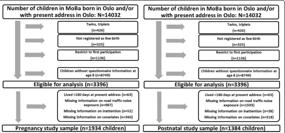 Fig. 1 Flow chart of the postnatal (left) and pregnancy (right) study sample selection