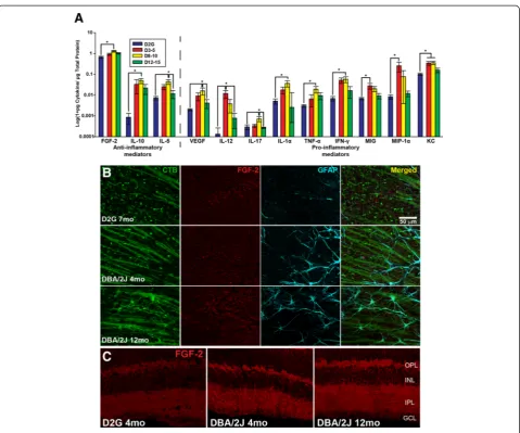 Fig. 2 Cytokine protein levels in retina. Anti-inflammatory mediators (FGF-2, IL-10, and IL-5) were elevated in 8and elevated immunostaining for FGF-2 (Merged images for all stains are shown in the–10-month DBA/2J mice and oftendemonstrated an age-dependen