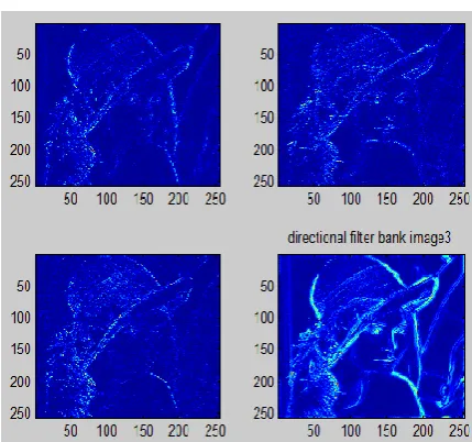 Figure 7. Directional Filtered Image 2 