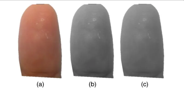 Figure 5 RGB (a) to grayscale conversion (b) and the normalized image (c)