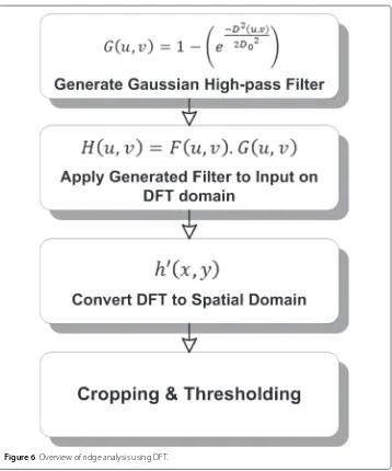 Figure 6 Overview of ridge analysis using DFT.