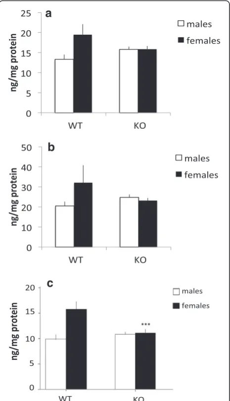 Fig. 5 Normalized fold mRNA expression of IFN-γ in MIF KO and WTmice in the a prefrontal cortex and b hippocampus