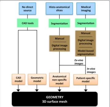 Figure 4 3D cardiac geometry generation stage of the development process of a 3D cardiac computationalmodel