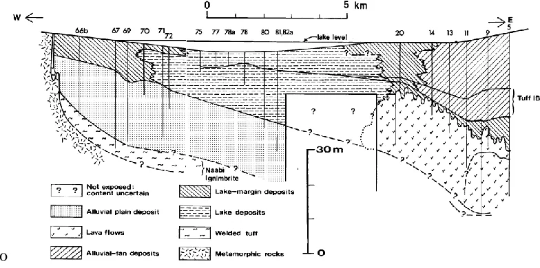 Figure 4 Schematic of Bed I on completion of Tuff IF at 1.803 Ma Representation of Main Gorge North Side with sample site Locality 80 (after Hay, 1976) 