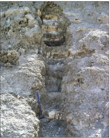 Figure 9 Portion of the Loc 80 30 m high sampling trench (Ashley, 1999) 