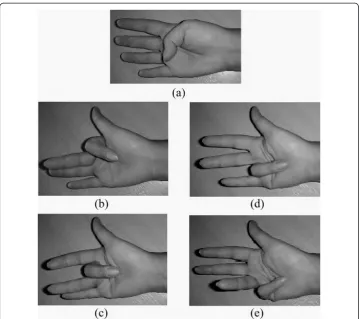 Figure 2 Finger positioning: (a) Thumb, (b) Index finger, (c) Middle finger, (d) Ring finger, (e) Littlefinger.