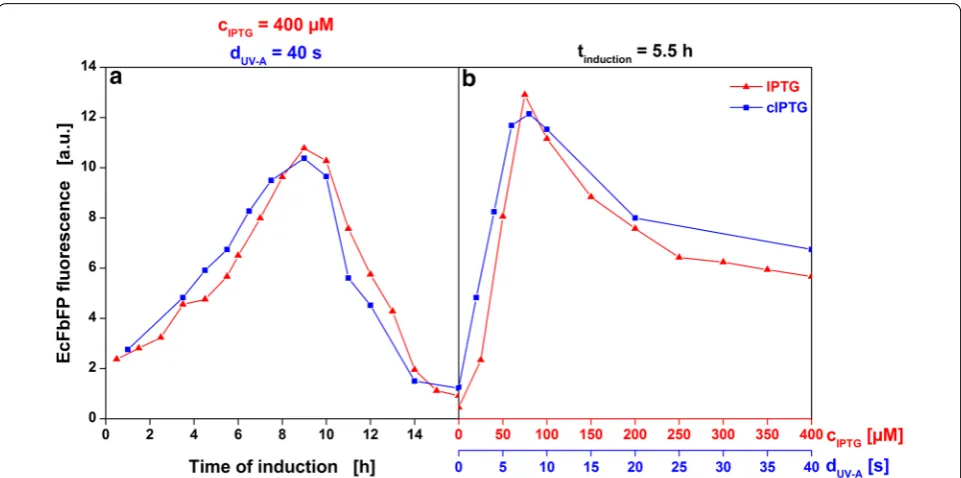 Fig. 7 Comparison of end‑point FbFP fluorescence after induction with IPTG or cIPTG. FbFP fluorescence after 42 h of individual cultures induced at varied time points (0.5–16 h) with either 400 µM IPTG (red curve) or cIPTG after 40 s UV‑A exposure (blue curve) (a) and of cultures induced after 5.5 h with either 0–400 µM IPTG or 0–40 s UV‑A exposure (b)