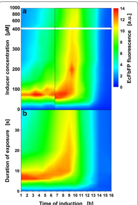 Fig. 8 Induction profiles for conventional induction with manual for higher IPTG concentrations (400–1000 µM) are still shown but do not yield higher FbFP concentrations