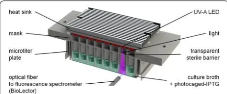 Fig. 1 LED array for individual illumination of 48 wells in a microtiter fiber which is connected to a fluorescence spectrometer from well to plate