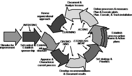 Figure 2: IDEAL Model (McFeeley, 1996) 