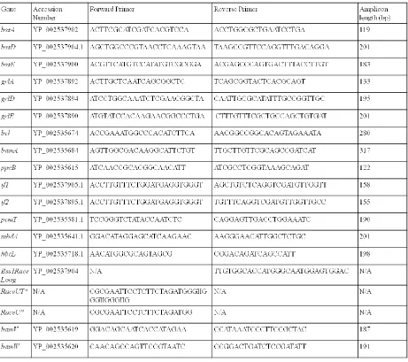 Table 1: Primers used in this study 