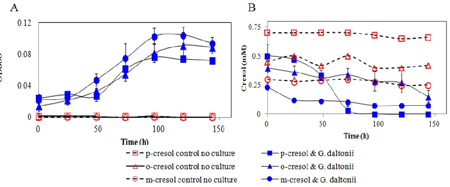 Figure 17: G. daltonii optical density at 600nm, of degradation is coupled to the growth of cells