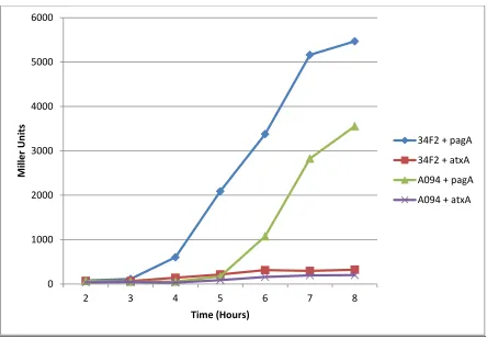 Figure 3.1.2 pagA and atxA expression levels in sigI mutant strain. Virulence gene expression in the sigI mutant strain