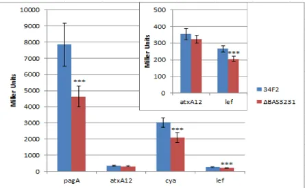 Figure 3.1.3 pagA, atxA, cya and lef expression levels in sigI mutant strain. Virulence gene expression in sigI mutant strain at 8hrs