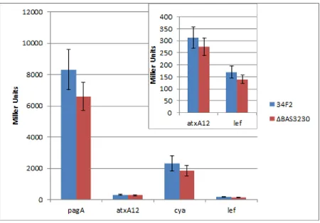Figure 3.2.2 pagA, atxA, cya and lef expression levels in rsgI mutant strain. Virulence gene expression in the rsgI mutant strain at 8hrs
