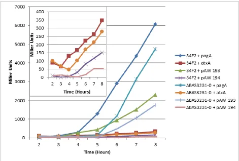 Figure 3.3.2 pagA, atxA, cya and lef expression levels in sigI-rsgI mutant strain. Virulence gene expression in the sigI-rsgI mutant strain