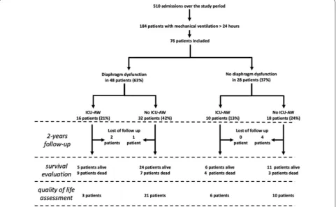 Fig. 1 Study flowchart. ICU-AW intensive care unit‑acquired weakness