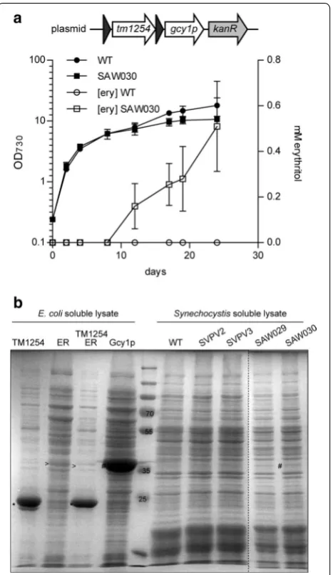 Fig. 2 Effect of extracellular erythritol on growth of Synechocystis. Growth curve of wildtype Synechocystis, cultured in the presence of 0, 1, 10, 20, 30, 50 or 95 g/l meso-erythritol