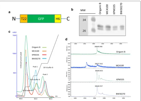 Fig. 2 Quantitative analyses of T22‑GFP‑H6 production levels and activity. a Yield of T22‑GFP‑H6 produced in E