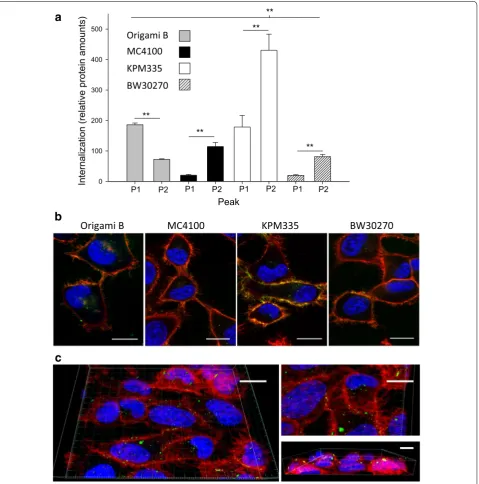 Fig. 5 Cell penetrability of nanoparticles. a Internalization of self‑assembling nanoparticles analyzed by intracellular fluorescence of HeLa cells incu‑bated with 25 nM of T22‑GFP‑H6 for 1 h
