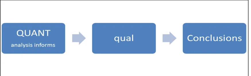 Figure 2. Display of the Explanatory Sequential Design.  