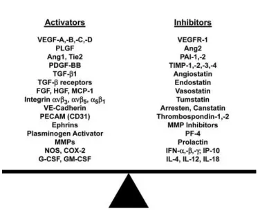 Figure 1-4 Angiogenesis balance 