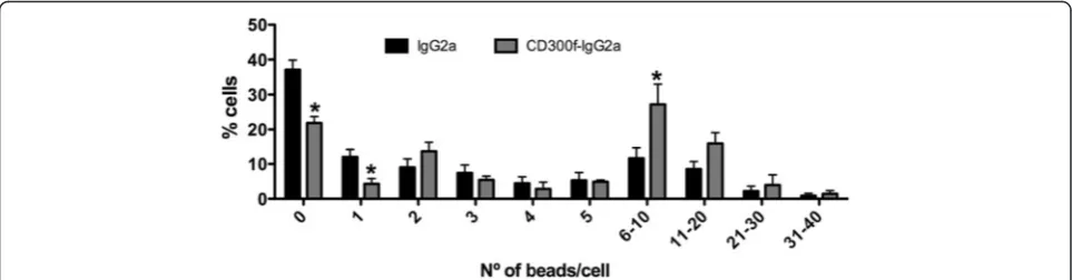 Fig. 5 iNOS and CD206 stain a heterogeneous population of macrophages. Single focal plane confocal microscopy for iNOS or CD206 combinedwith tomato lectin and F4/80 macrophage staining evidenced that most cells co-stain with tomato lectin and F4/80, and so