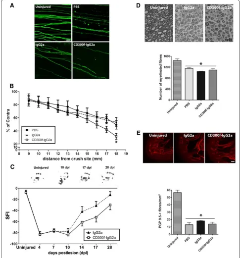 Fig. 2 (See legend on next page.)