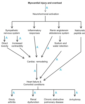 Figure 1 Statins influence the pathophysiological mechanisms in heart failure (indicated by A).
